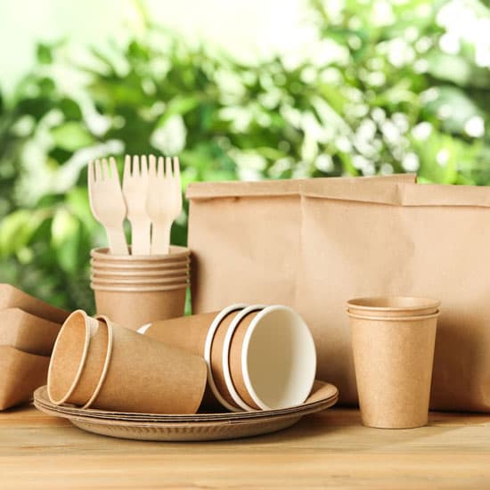 Набор одноразовой эко-посуды из крафт-бумаги, включая стаканчики, тарелки, вилки и упаковочные пакеты на фоне зелени