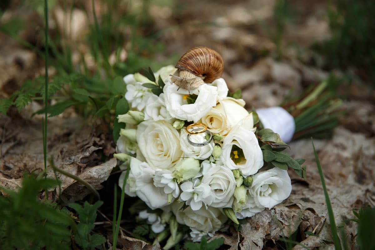 свадебная фотография